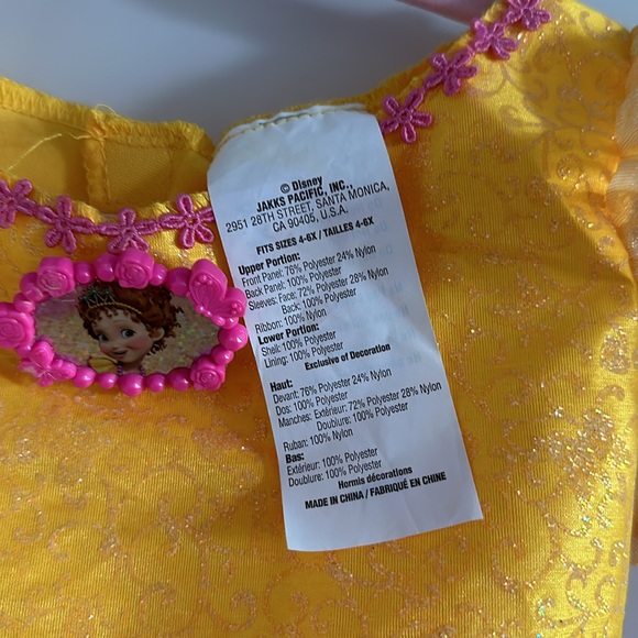 Disney Brand Fancy Nancy Halloween Costume - Size 4-6X - Picture 10 of 10